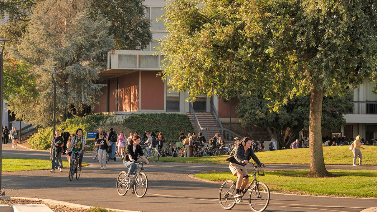 UC Davis students walking and biking along a tree-lined college campus path near a brick building