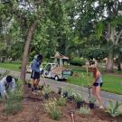 Photo of Learning by Leading interns converting a campus landscape.